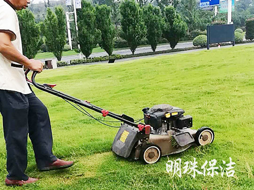 綠化養護5